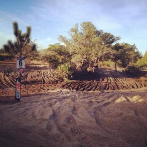 301570_10200738154366289_794535463_n