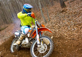 Photo by 88Fotos.com