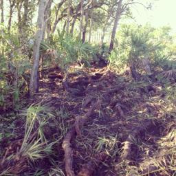 544568_10200738152166234_1224806424_n