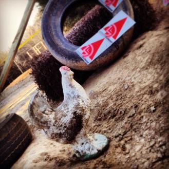 577852_10200756055413804_1242128656_n